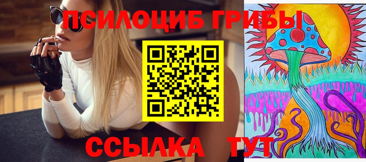 даркнет сайт  Галлюциногенные грибы прущие грибы  Мыски  Вход с VPN  Псилоцибиновые грибы Psilocybe 