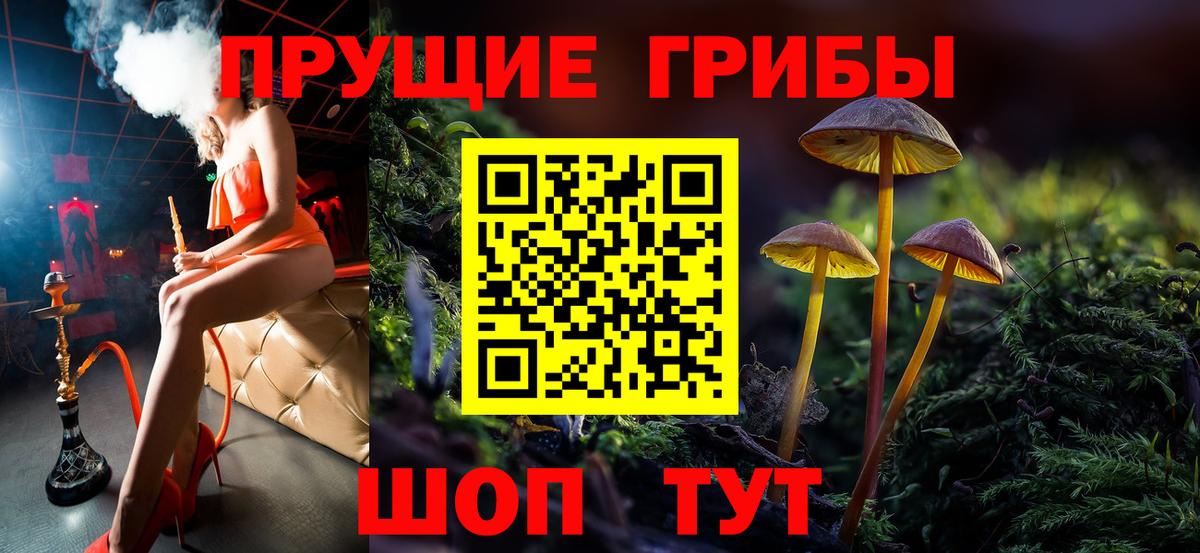 Галлюциногенные грибы Psilocybe Мыски